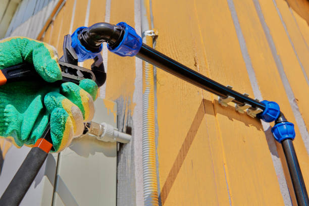 Best Local Plumber Services  in Many, LA